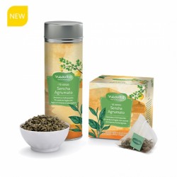 Sencha Agrumato 15 filtri