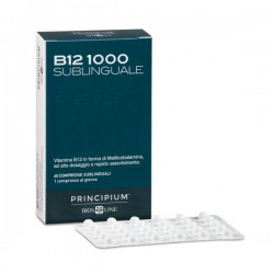 PRINCIPIUM B12 1000...